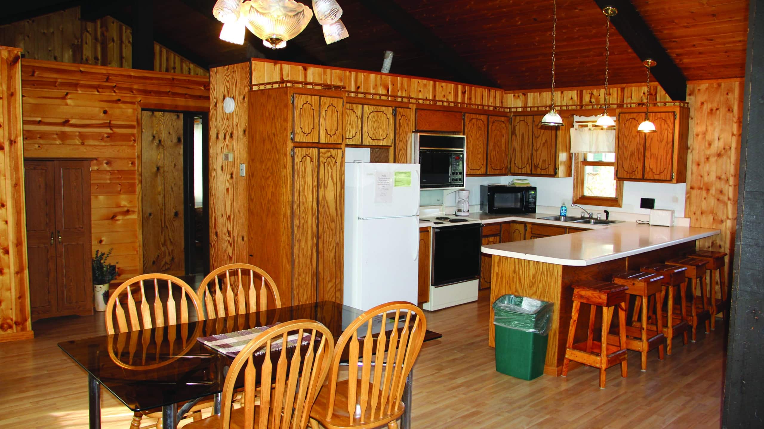 springsteelcabin-crop-1 springsteelcabin-crop-1