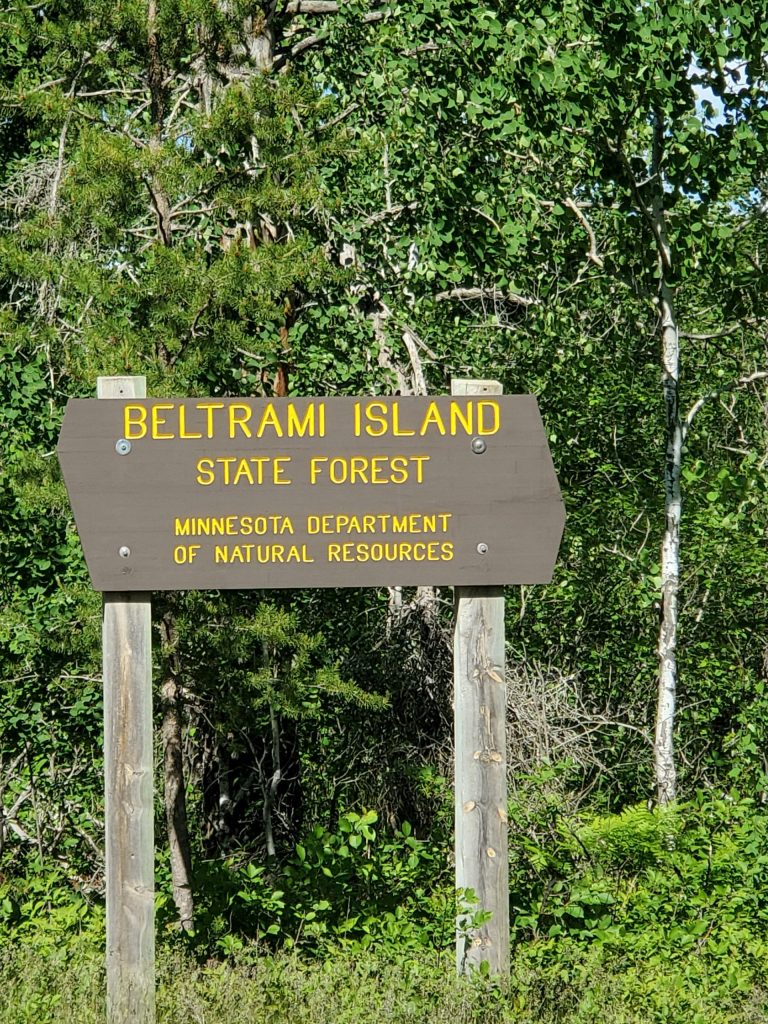 beltrami-island-state-forest